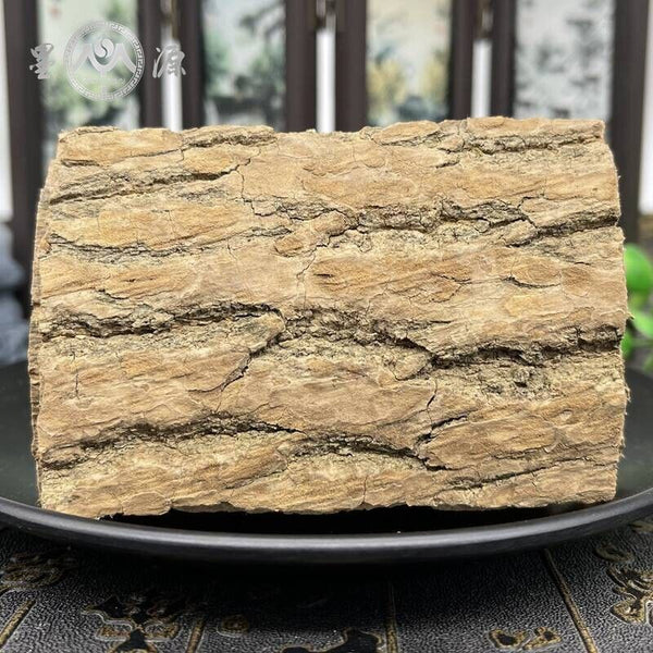 High Quality Eucommia Ulmoides Chinese Herbal Raw Eucommia Ulmoides Duzhong 杜仲
