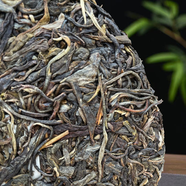 HelloYoung Misty Tribute Tea Ancient Pure Material Pu'er Raw Tea Tribute Tea 357g/12.59oz