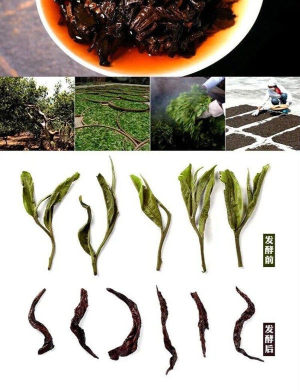 Yunnan Pu'er Tea 357g Qizi Cake Aged Mature Fragrant Traditional Ripe Organic