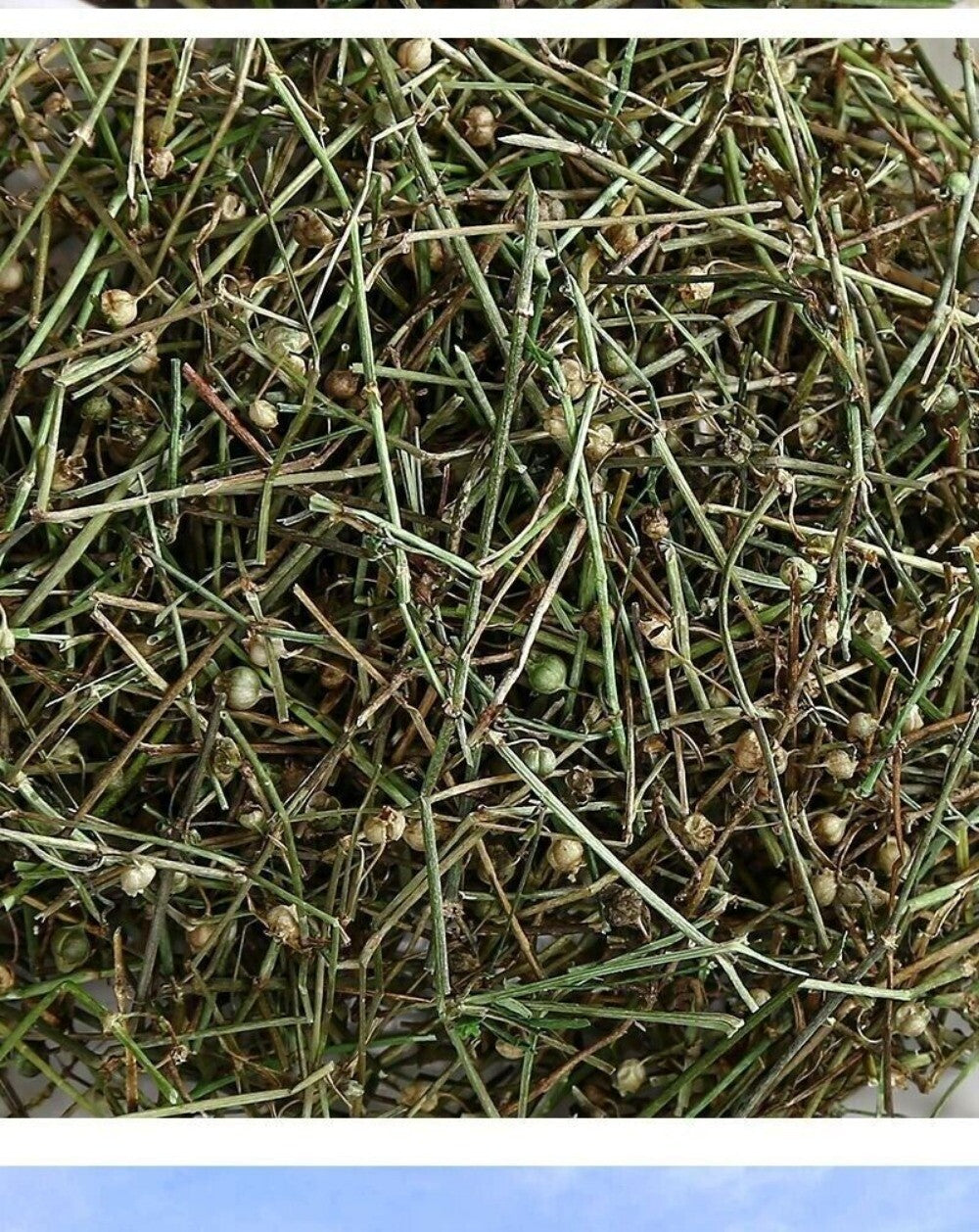 Premium Oldenlandia Diffusa Herb 100g Wild Harvested Traditional Medicinal Tea