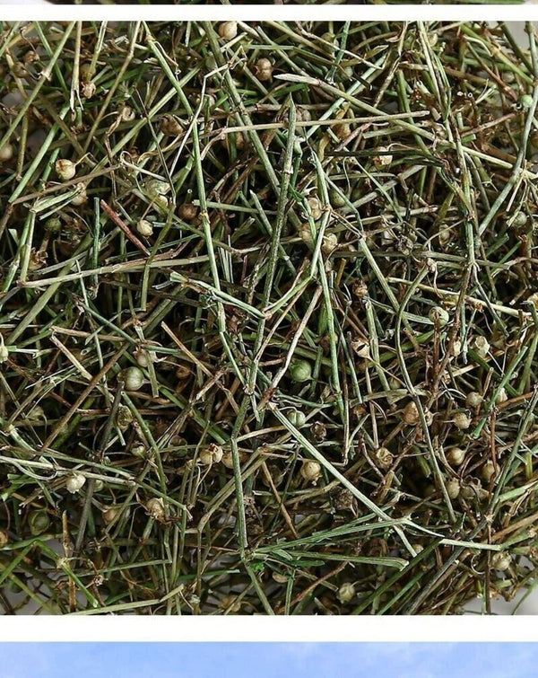Premium Oldenlandia Diffusa Herb 100g Wild Harvested Traditional Medicinal Tea