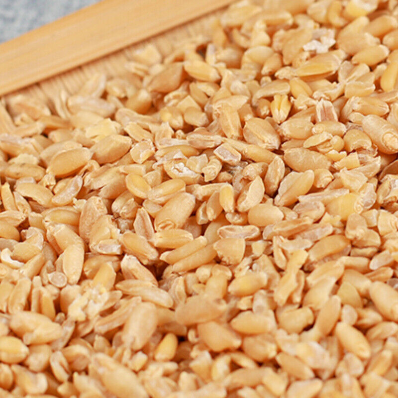 HelloYoung Original Healthy Herbal Tea Selected High-quality Healthy Herbal Wheat 500g精选浮小麦 Main image
