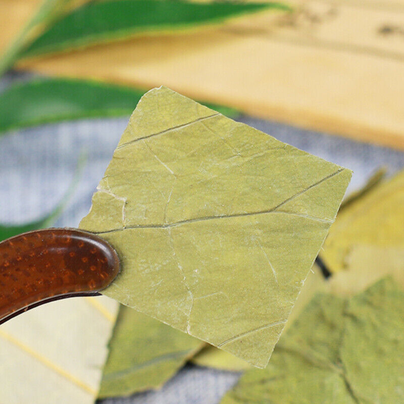 HelloYoung Dried Lotus Leaf Organic Healthy Herbal Tea Ganheye Health  50g/250g 干荷叶