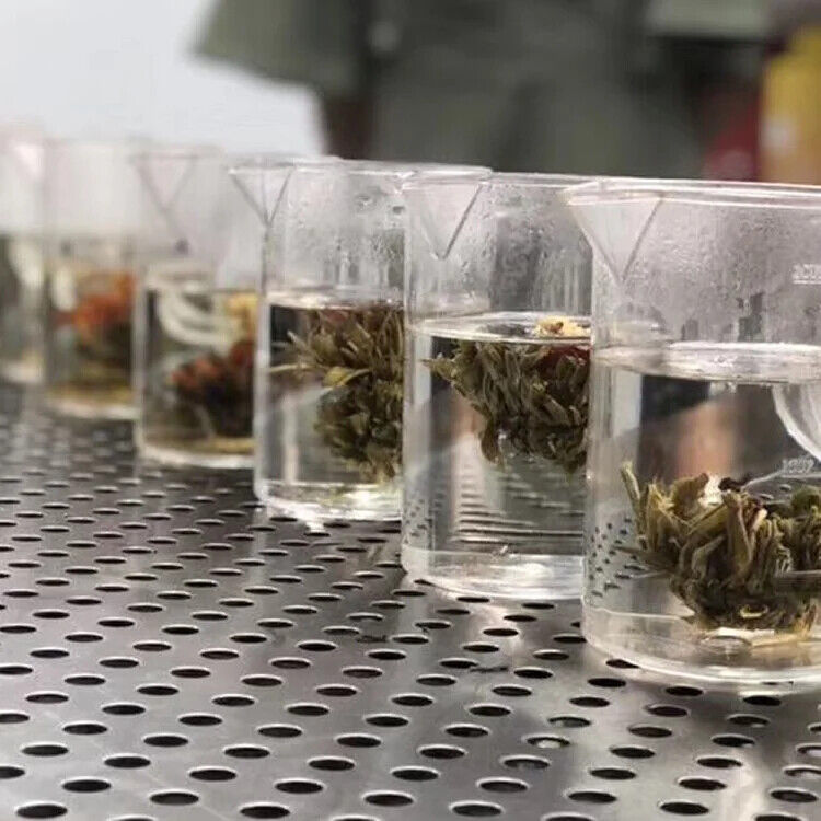 Handcrafted Art Mini Flowering White Tea Herbal Flower Blooming Tea Balls 20pcs