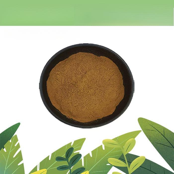 500g Pure Herba Senecionis Scandentis Extract 20:1 Powder Secondary image