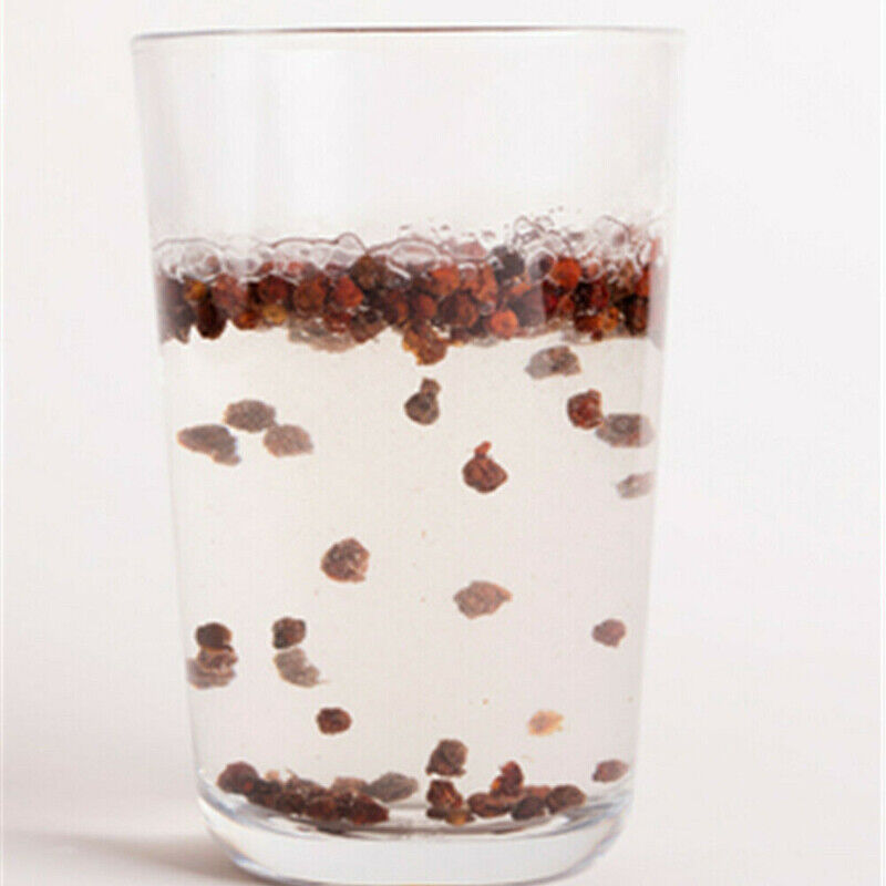 250g Premium Schisandra Dried Berries Wu Wei Zi Tonic Five Flavours Fruit 五味子