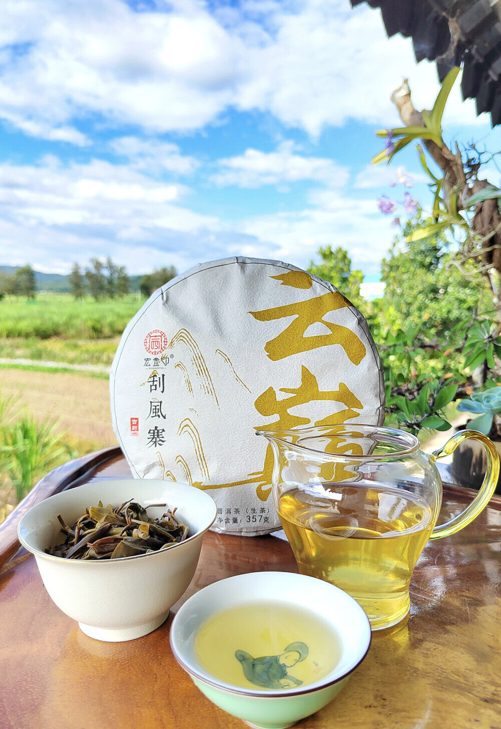 HelloYoung Scraping Walled Pu'er Tea Cake Yiwu Ancient Tree Raw Tea First Spring Yunnan Tea