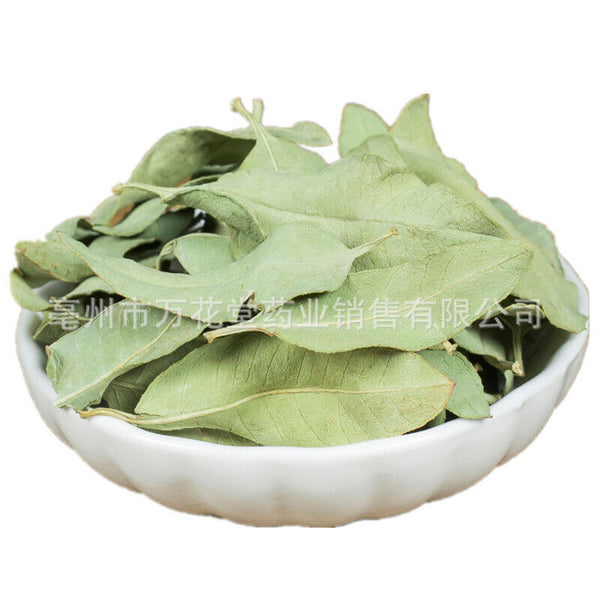 Apocynum Venetum Leaf Chinese Herbal Tea Health Tea