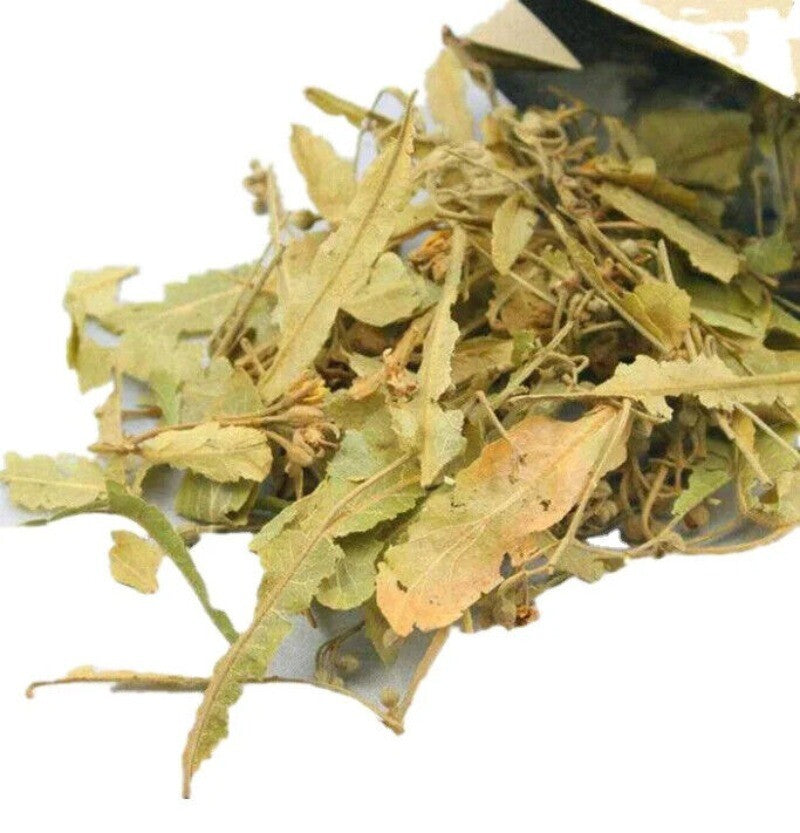 Natural Blossoms Tea Whole Tiliae Flores Dried Linden Flowers  Tea 250g Main image