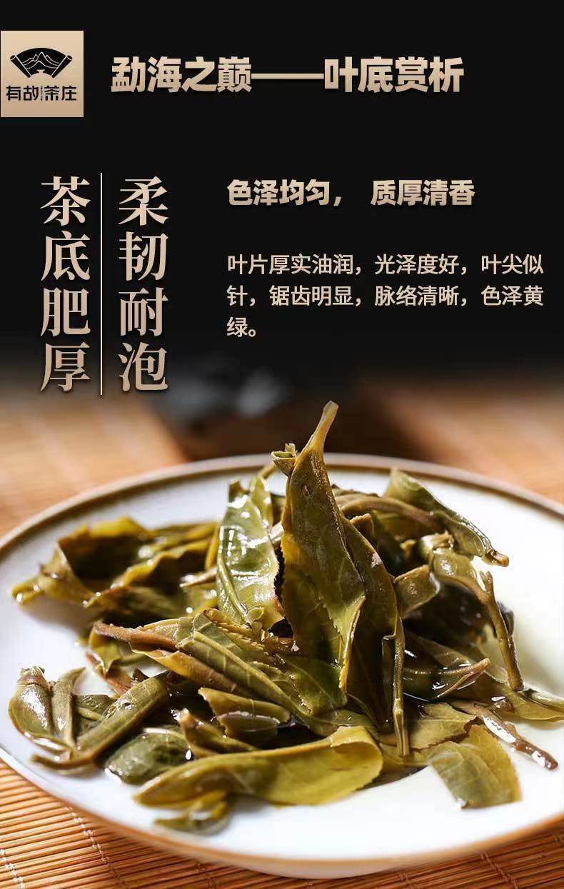 Big Snow Mountain Raw Tea Yunnan Pu'er Tea Ancient Tree Early Spring Cake Tea