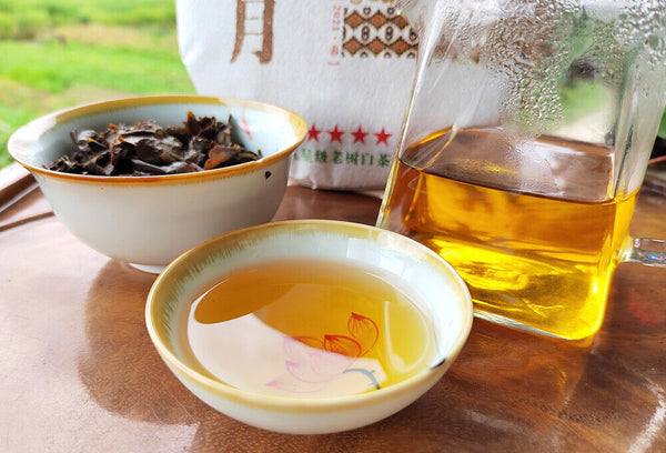 HelloYoung White Tea Pu'er Tea Old Tree White Tea Cake 300g