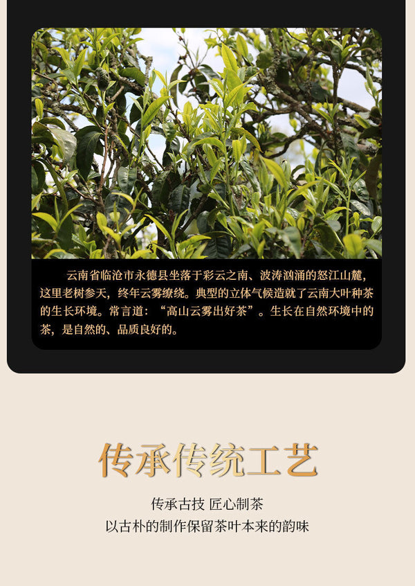 500g Nuo Xiang Tea Fossil Pu Er Tea Mature Tea Mature Pu Lao Tea Head Black Tea