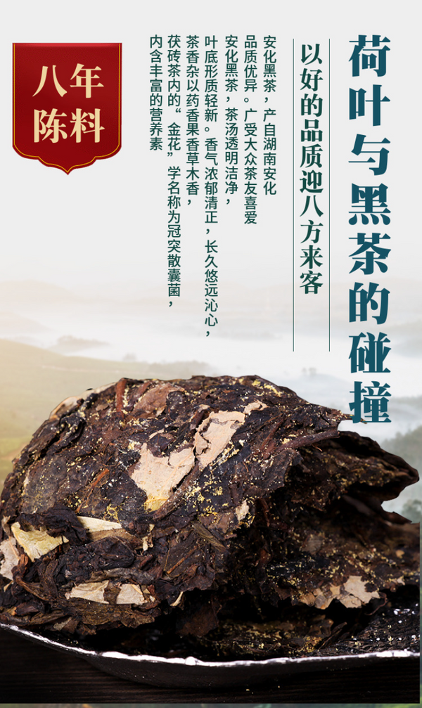 HelloYoung 1Kg Hunan Anhua Black Tea Golden Flower Porcelain Brick Tea Hand-built Raw Tea