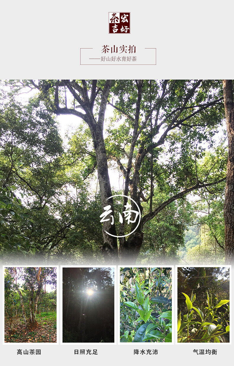 Puerh Tea Ripe Tea Loose Tea Chen Xiang Golden Bud Palace Material 500g