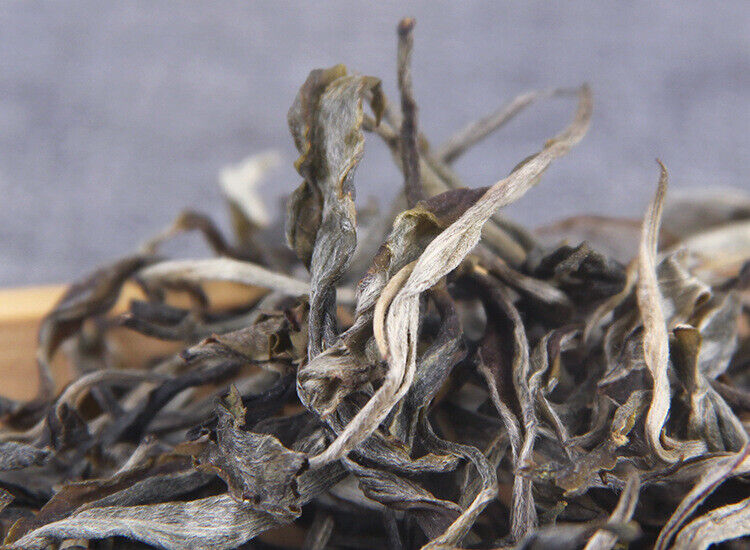 HelloYoung 500g Pu-erh Raw Tea Loose Tea 凤凰山古茶园头春凤凰窝散普