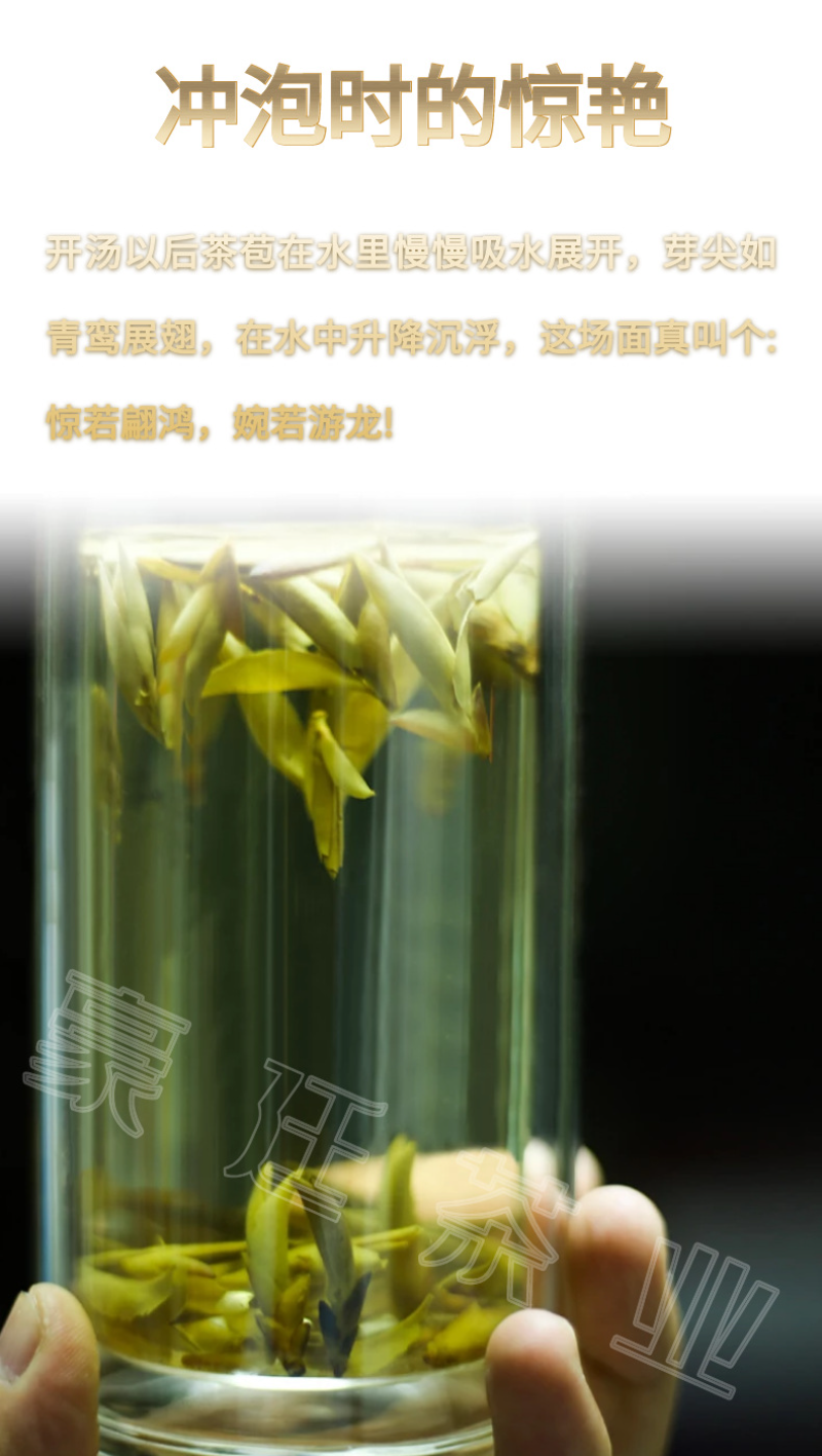Yunnan Pu'er Tea Purple Buds Early Spring New Tea MingQian Spring Tea Nectar Tea
