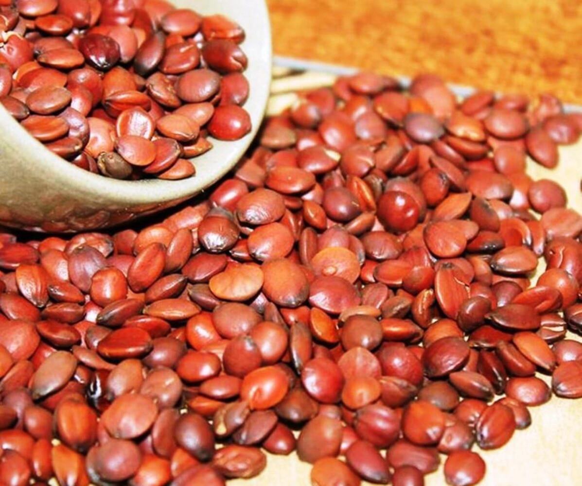 500g Sour Jujube Seed Semen Ziziphi Spinosae Natural Herbal Suan Zao Ren Main image