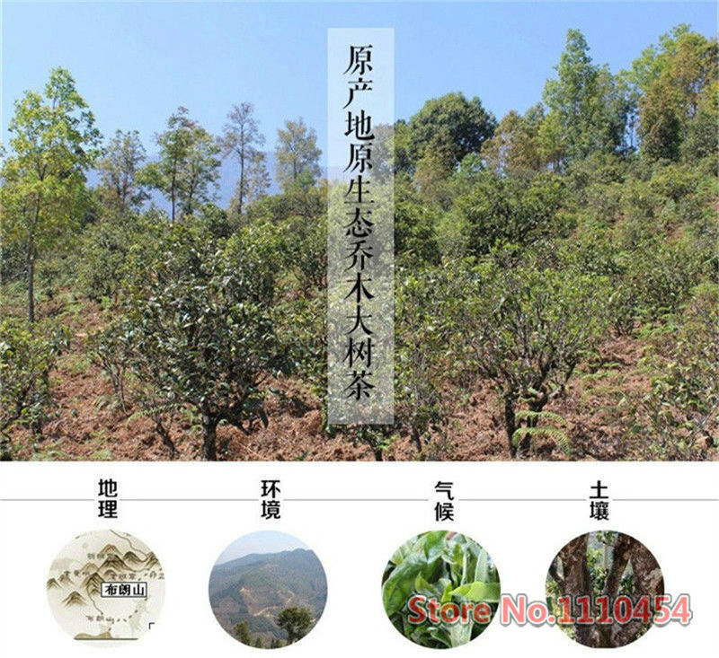 100g Reife Puer Tea Premium Yunnan Pu-erh Tee Alte Teebaum Materialien Puerh Tee
