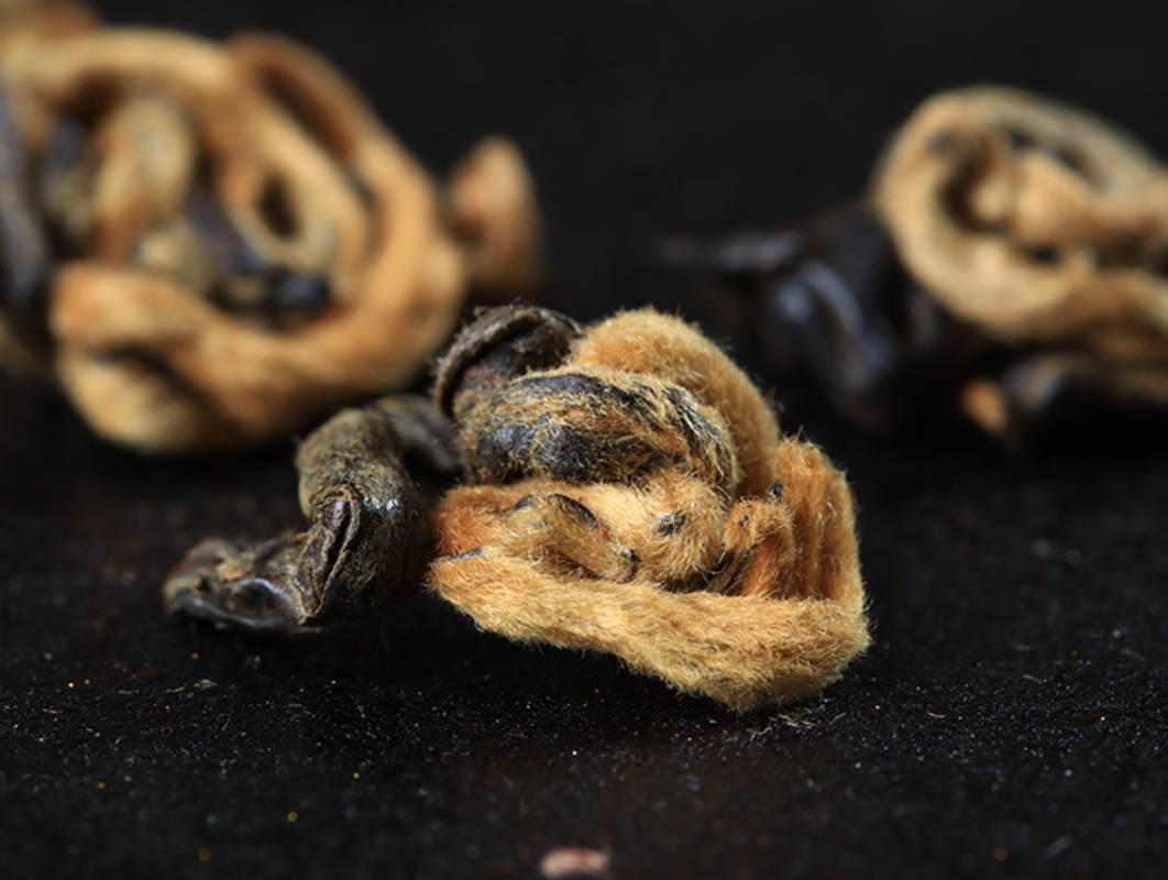 HelloYoung 500g Yunnan Ancient Black Tea Golden Silk Golden Snail Fengqing Dian Hong Tea