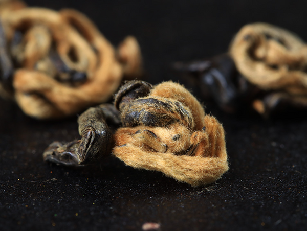 HelloYoung 500g Yunnan Ancient Black Tea Golden Silk Golden Snail Fengqing Dian Hong Tea