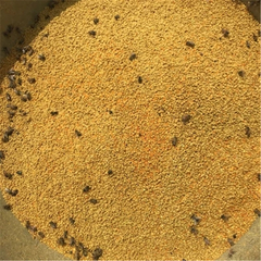 HelloYoung 500g High Quality 100% Natural Bee Pollen Chinese Herbs Harvest