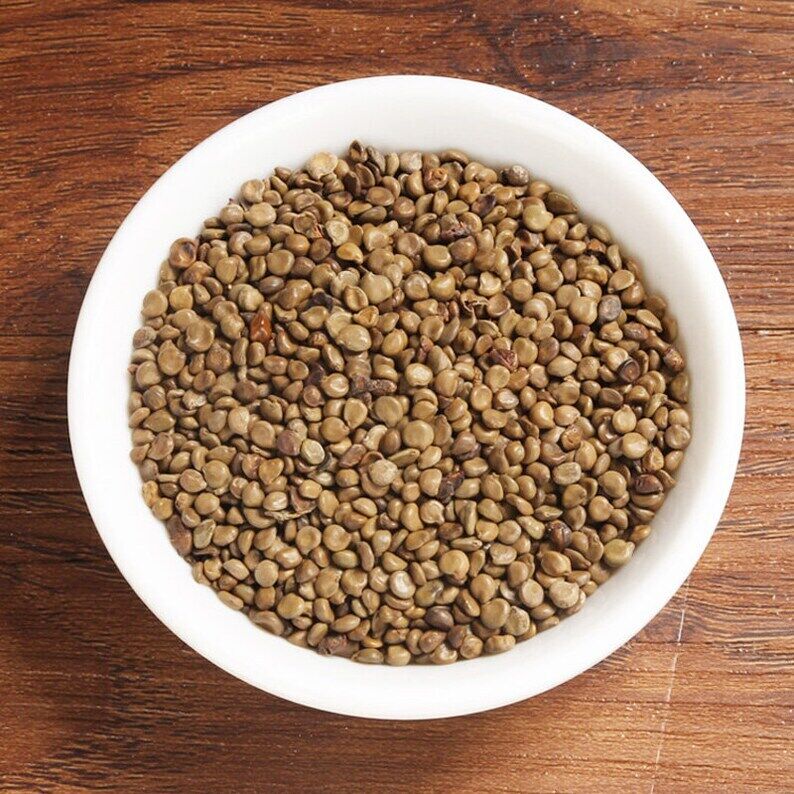 Organic Herbal Coffee Senna Fructus seu Semen Cassiae Occidentalis Great Quality Main image