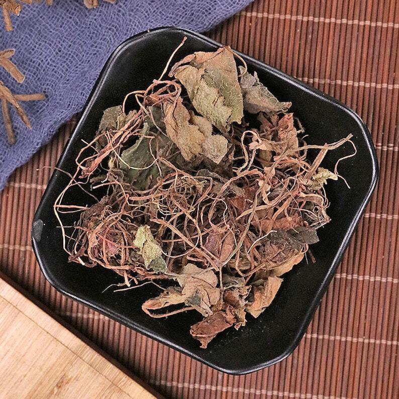 Organic Dried Saxifraga Stolonifera, Herba Saxifragae, Saxifrage Main image