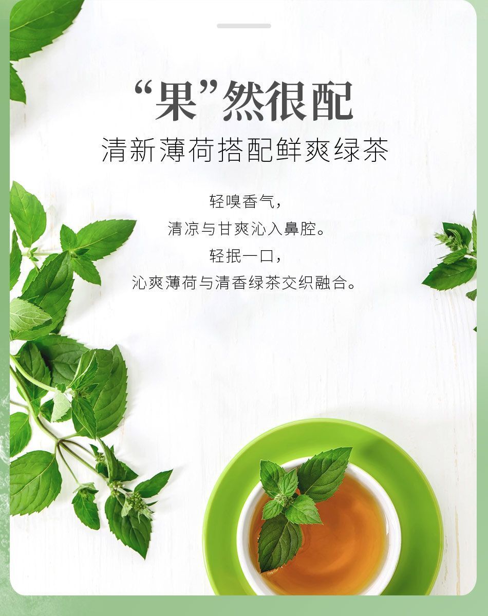 Tea Moroccan Flavor Mint Flavored Green Tea Bags Tea Bags 25 Bags/box