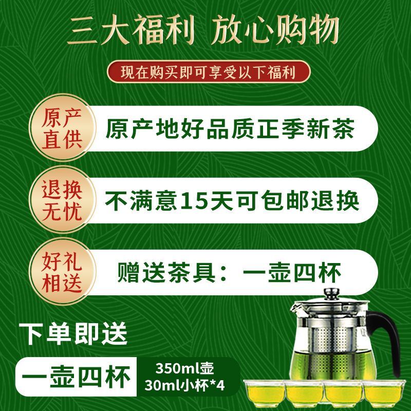 Green Tea Biluochun 2023 New Tea Authentic Strong Aroma High end Gift Box 250g