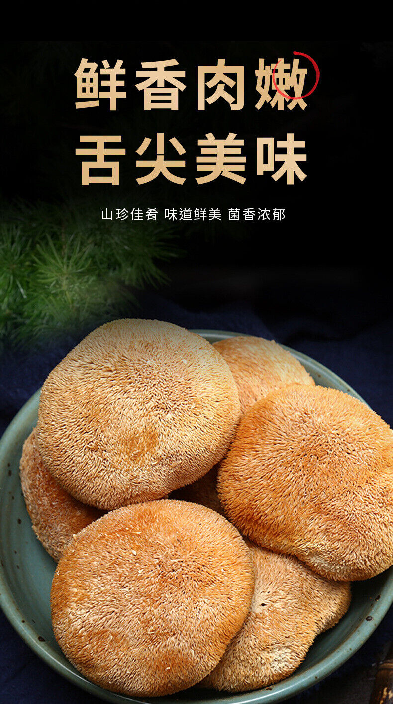 Sulfur-Free Dried Hericium Mushroom - Fresh, Loose Bulk Edible Fungi