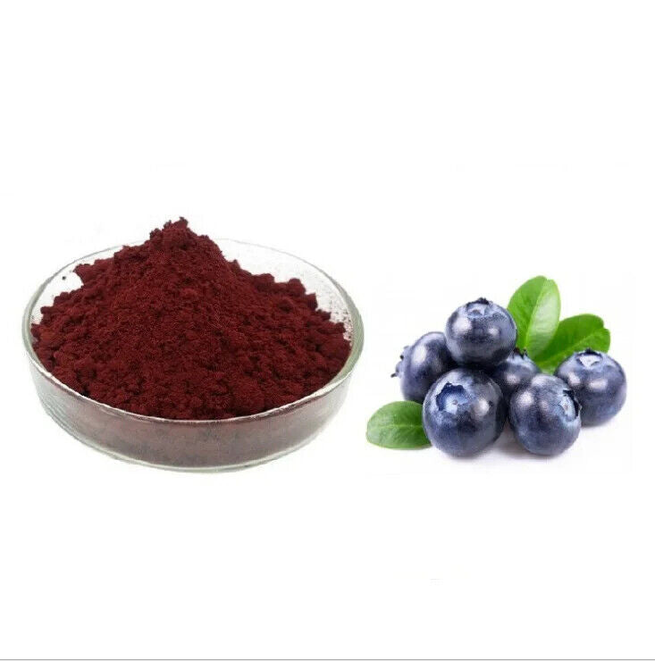 100% Pure Blueberry Fruit Powder Blueberry Juice Powder Concentrate Powder Main image