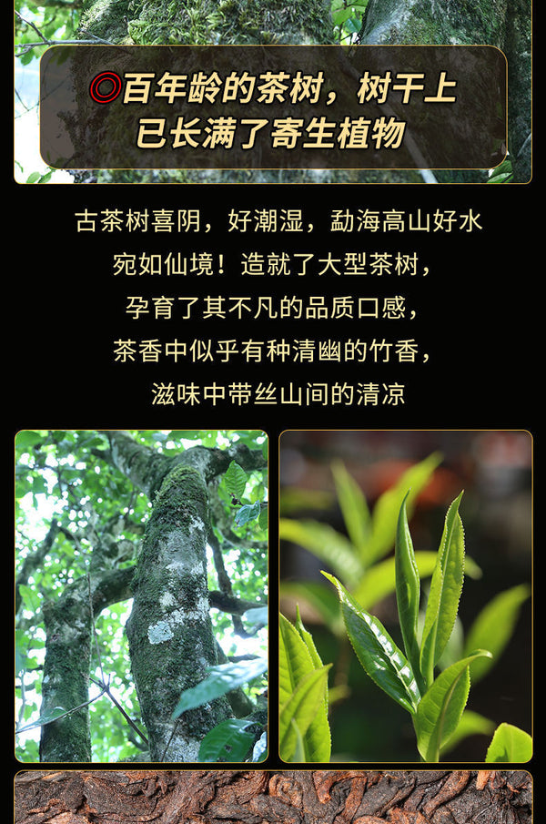 Yunnan Pu'er Ripe Tea Royal Collection Palace Ingredients Cake Tea 357g