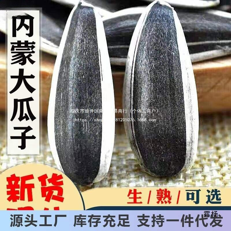 Fresh Roasted Large Sunflower Seeds Inner Mongolia Snack Main image