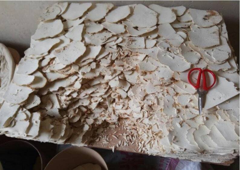 Poria Cocos Slice, Fu Ling Slice Tuckahoe Slice, Hoelen, China Poria Root