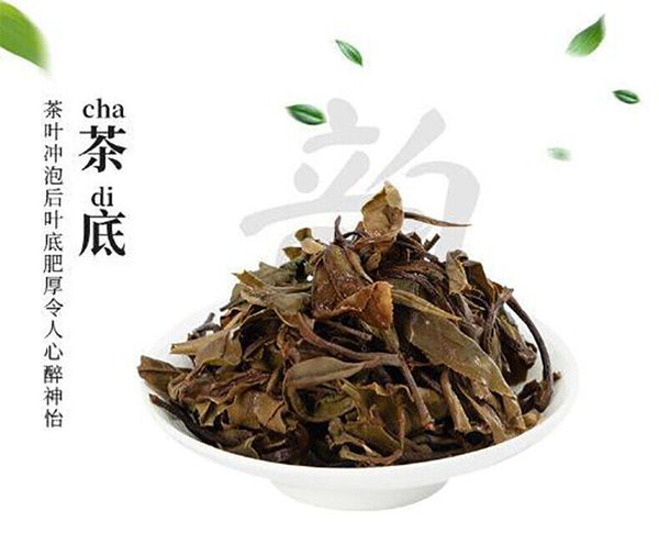 HelloYoung Alpine white tea Fuding white tea gongmei 5g a bubble old white tea cake 500g