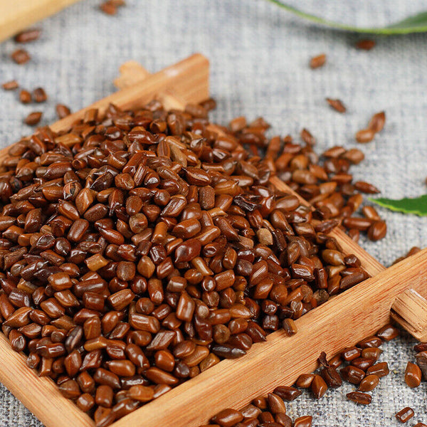 Chinesische gesunde Kräuter Bulk Cha Cassia Samen juemingzi 500g