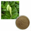 1LB Gymnema Sylvestre Extract Powder, 10:1 Ratio - Pure & Natural