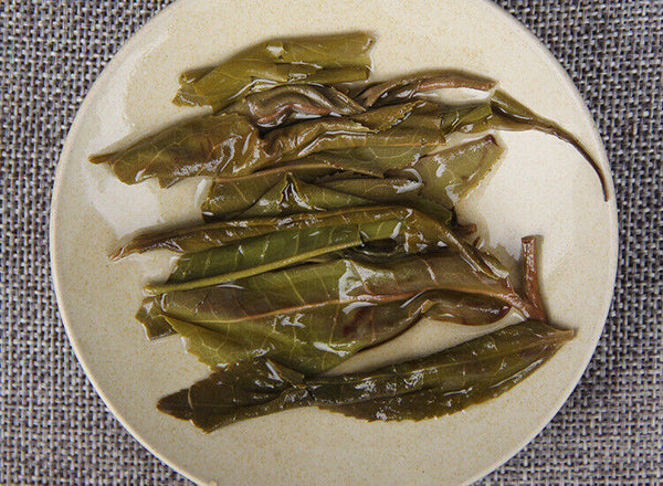HelloYoung Pu'er Raw Tea Cake Yunnan Tea Cake 年南糯山古树纯料普洱茶生茶饼云南七子饼茶357g