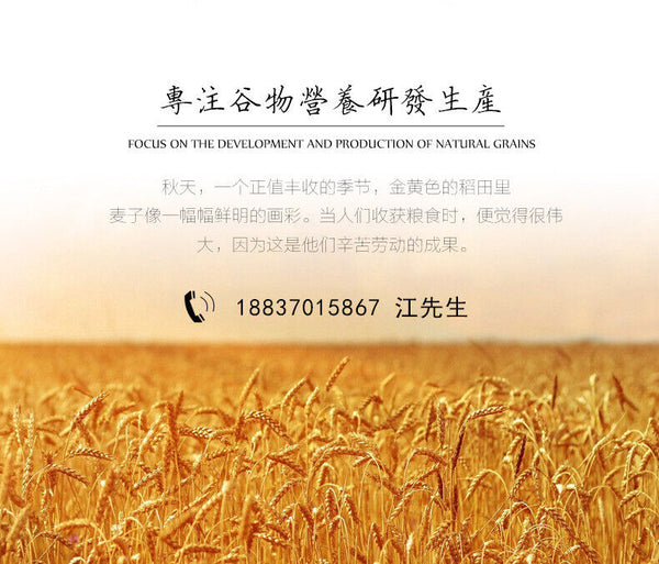Cooked Peanut Powder Ready-to-eat Stir-fried Baked Meal Replacement Powder 500g