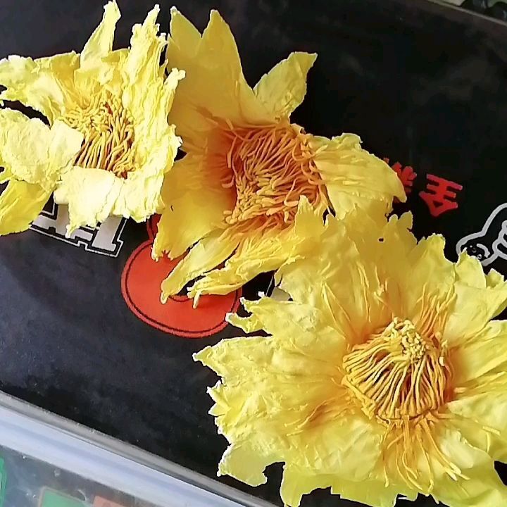 Natural New Bright Yellow Dried Lotus Flower Lotus Flowers Blooming Tea 500g