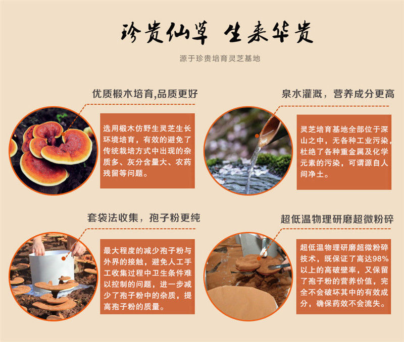 HelloYoung500g Chinese Ganoderma Lucidum Lingzhi Tea Wild Reishi Spore Powder Herbal Tea