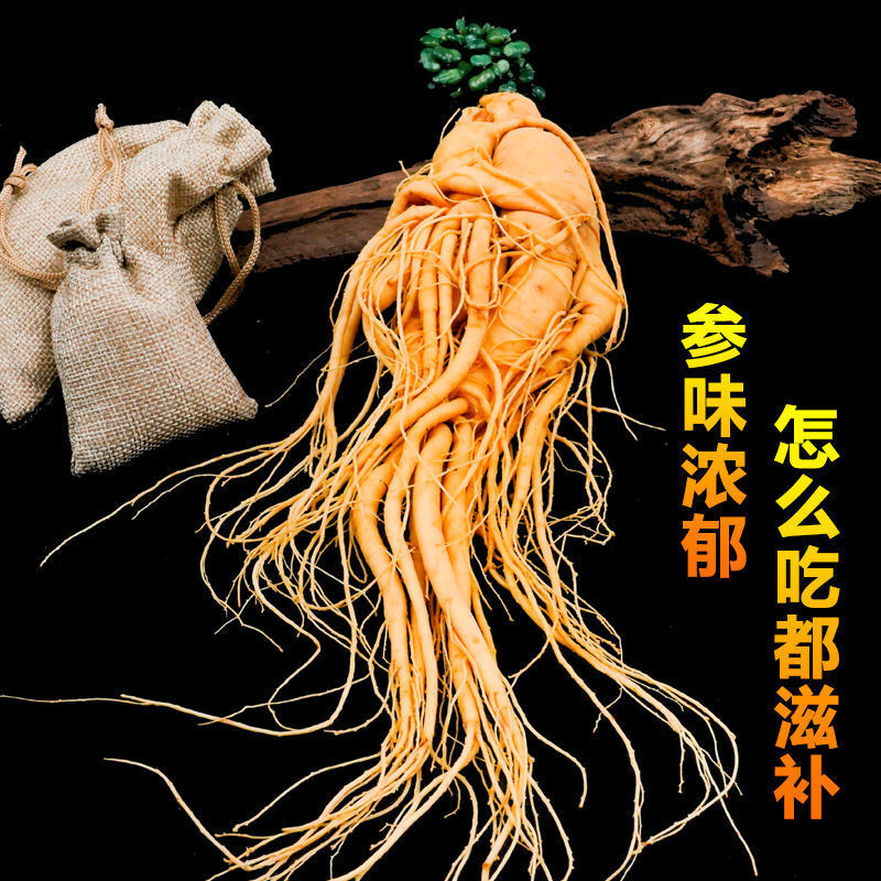 9-Year-Old Fresh Preserved Ginseng Root 1pc Large Size Changbai Mountain Main image