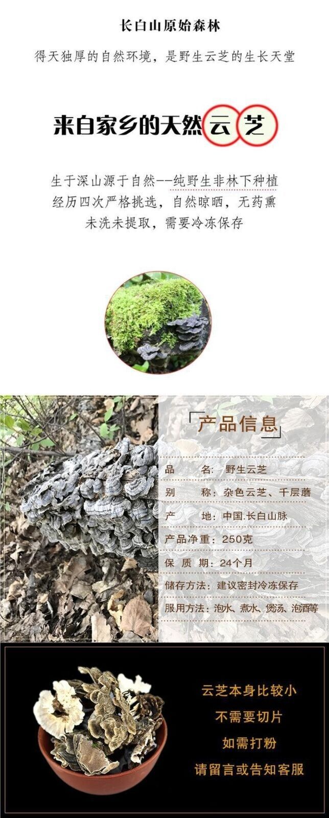 Wild Yunzhi Mushroom 250g Premium Dried Trametes Herbal