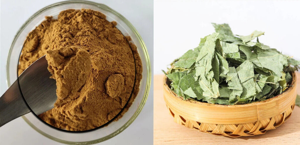 High Quality Epimedium Extract Powder with Free Sample 250g