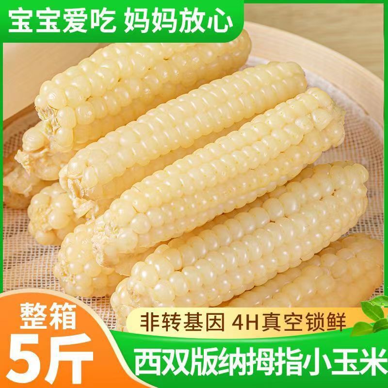 Yunnan Xishuangbanna Dried Corn Snacks – Sweet & Glutinous, Vacuum Packed Fresh Secondary image