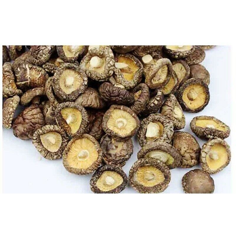 Glossy Mushroom Dried Mushroom 4-5cm Fujina Winter Dried Shiitake 250g/8.8oz