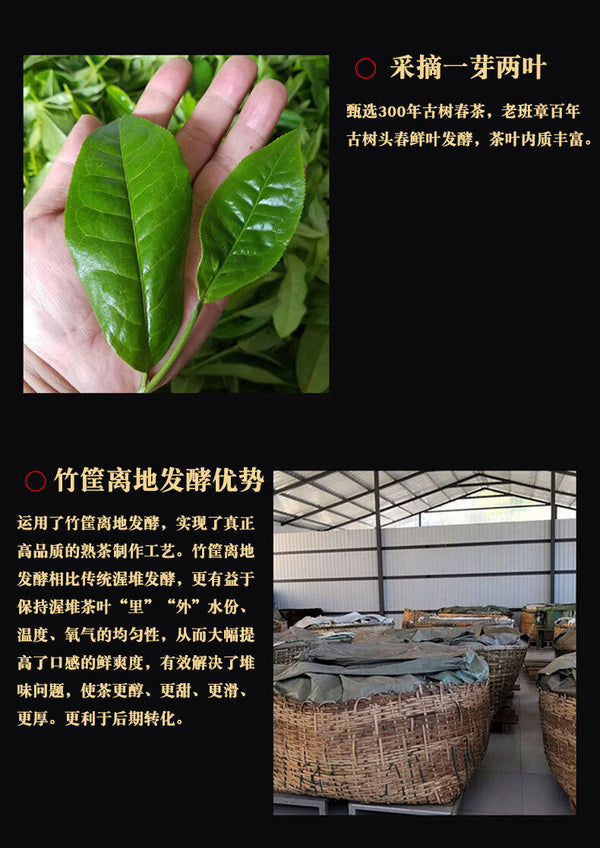 Lao Banzhang Ancient Tree Tea Leaves 357g Yunnan Aged Ripe Pu Pu'er Ripe Tea