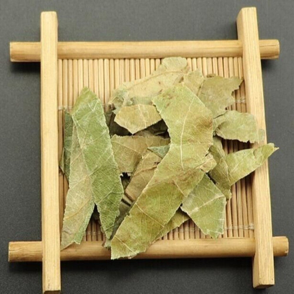 Premium Dried Loquat Leaf Tea 100g Traditional Chinese Herbal Health Secondary image