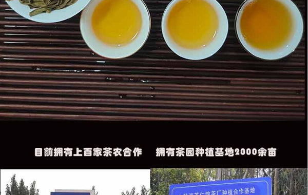 HelloYoung Yunnan Tea Python Turnip Raw Tea Ancient Tree Pu-erh Tea 357g Cake Tea