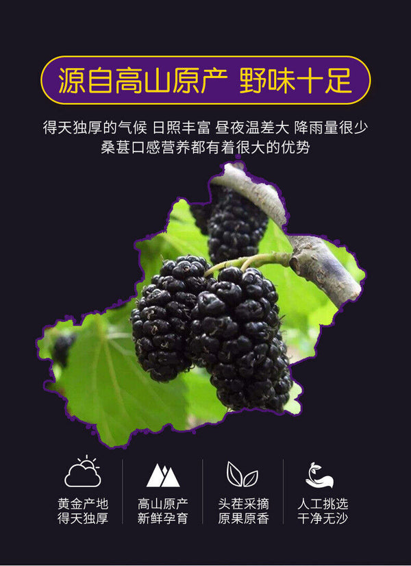 HelloYoung DriedMulberry Fruit No Wash Dried Mulberry Mulberry Black Mulberry 500g/1.1lb